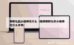 刚孵化的小螳螂吃什么（螳螂刚孵化的小螳螂吃什么食物）