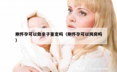 刚怀孕可以做亲子鉴定吗（刚怀孕可以同房吗）