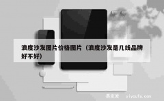 浪度沙发图片价格图片（浪度沙发是几线品牌好不好）