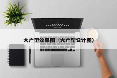 大户型效果图（大户型设计图）