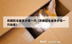 异国短毛猫多少钱一只（异国短毛猫多少钱一只幼崽）