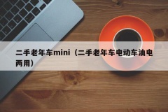 二手老年车mini（二手老年车电动车油电两用）