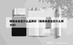 榻榻米床垫什么品牌好（榻榻米床垫买什么牌子好）