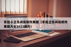 家庭小卫生间装修效果图（家庭卫生间装修效果图大全2013图片