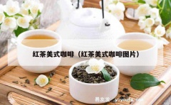 红茶美式咖啡（红茶美式咖啡图片）