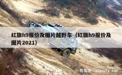 红旗h9报价及图片越野车（红旗h9报价及图片2021）