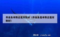 养金鱼单数还是双数好（养金鱼是单数还是双数好）