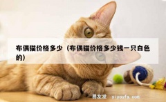 布偶猫价格多少（布偶猫价格多少钱一只白色的）