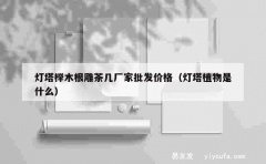 灯塔榉木根雕茶几厂家批发价格（灯塔植物是什么）