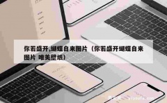 你若盛开,蝴蝶自来图片（你若盛开蝴蝶自来图片 唯美壁纸）