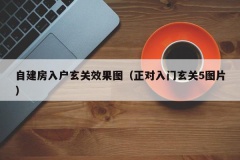 自建房入户玄关效果图（正对入门玄关5图片）