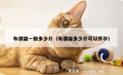 布偶猫一般多少斤（布偶猫多少斤可以怀孕）