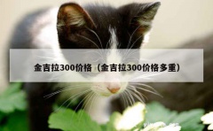 金吉拉300价格（金吉拉300价格多重）