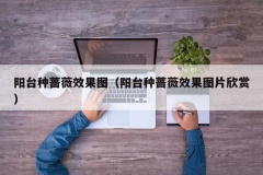 阳台种蔷薇效果图（阳台种蔷薇效果图片欣赏）