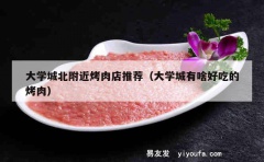 大学城北附近烤肉店推荐（大学城有啥好吃的烤肉）