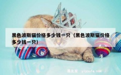 黑色波斯猫价格多少钱一只（黑色波斯猫价格多少钱一只）