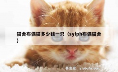 猫舍布偶猫多少钱一只（sylph布偶猫舍）