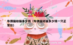 布偶猫幼猫多少钱（布偶猫幼猫多少钱一只正常价）