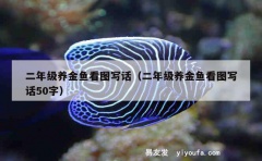 二年级养金鱼看图写话（二年级养金鱼看图写话50字）