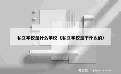 私立学校是什么学校（私立学校是干什么的）