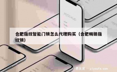 合肥指纹智能门锁怎么代理购买（合肥畅销指纹锁）