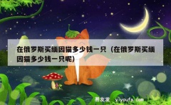 在俄罗斯买缅因猫多少钱一只（在俄罗斯买缅因猫多少钱一只呢）