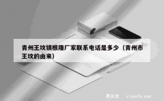 青州王坟镇根雕厂家联系电话是多少（青州市王坟的由来）