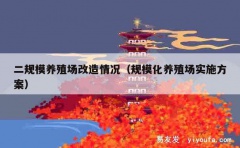 二规模养殖场改造情况（规模化养殖场实施方案）