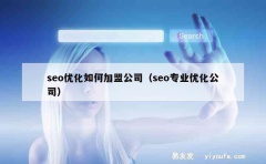 seo优化如何加盟公司（seo专业优化公司）