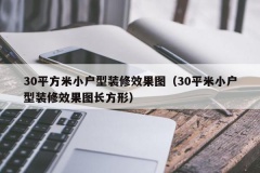 30平方米小户型装修效果图（30平米小户型装修效果图长方形）