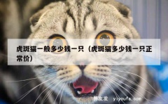 虎斑猫一般多少钱一只（虎斑猫多少钱一只正常价）