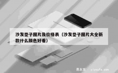 沙发垫子图片及价格表（沙发垫子图片大全新款什么颜色好看）