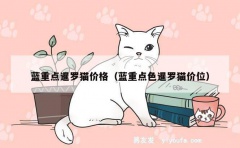 蓝重点暹罗猫价格（蓝重点色暹罗猫价位）