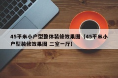 45平米小户型整体装修效果图（45平米小户型装修效果图 二室