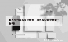 民办学校是私立学校吗（民办和公办含金量一样吗）