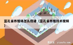 蓝孔雀养殖场怎么搭建（蓝孔雀养殖技术视频）