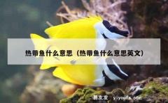 热带鱼什么意思（热带鱼什么意思英文）