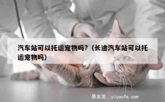 汽车站可以托运宠物吗?（长途汽车站可以托运宠物吗）