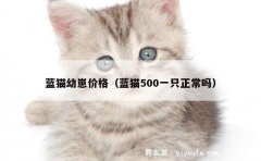 蓝猫幼崽价格（蓝猫500一只正常吗）