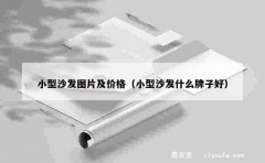 小型沙发图片及价格（小型沙发什么牌子好）