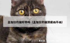 孟加拉豹猫好养吗（孟加拉豹猫到底凶不凶）