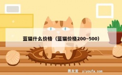 蓝猫什么价格（蓝猫价格200~500）