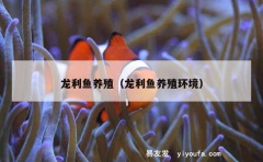 龙利鱼养殖（龙利鱼养殖环境）