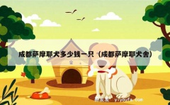 成都萨摩耶犬多少钱一只（成都萨摩耶犬舍）