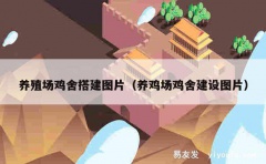 养殖场鸡舍搭建图片（养鸡场鸡舍建设图片）