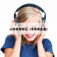 vi手风琴转让（手风琴出售）