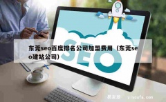 东莞seo百度排名公司加盟费用（东莞seo建站公司）