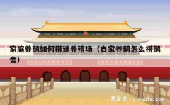 家庭养鹅如何搭建养殖场（自家养鹅怎么搭鹅舍）