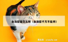 金渐层猫怎么样（金渐层千万不能养）