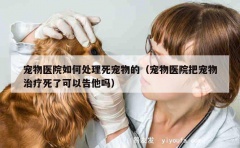 宠物医院如何处理死宠物的（宠物医院把宠物治疗死了可以告他吗）